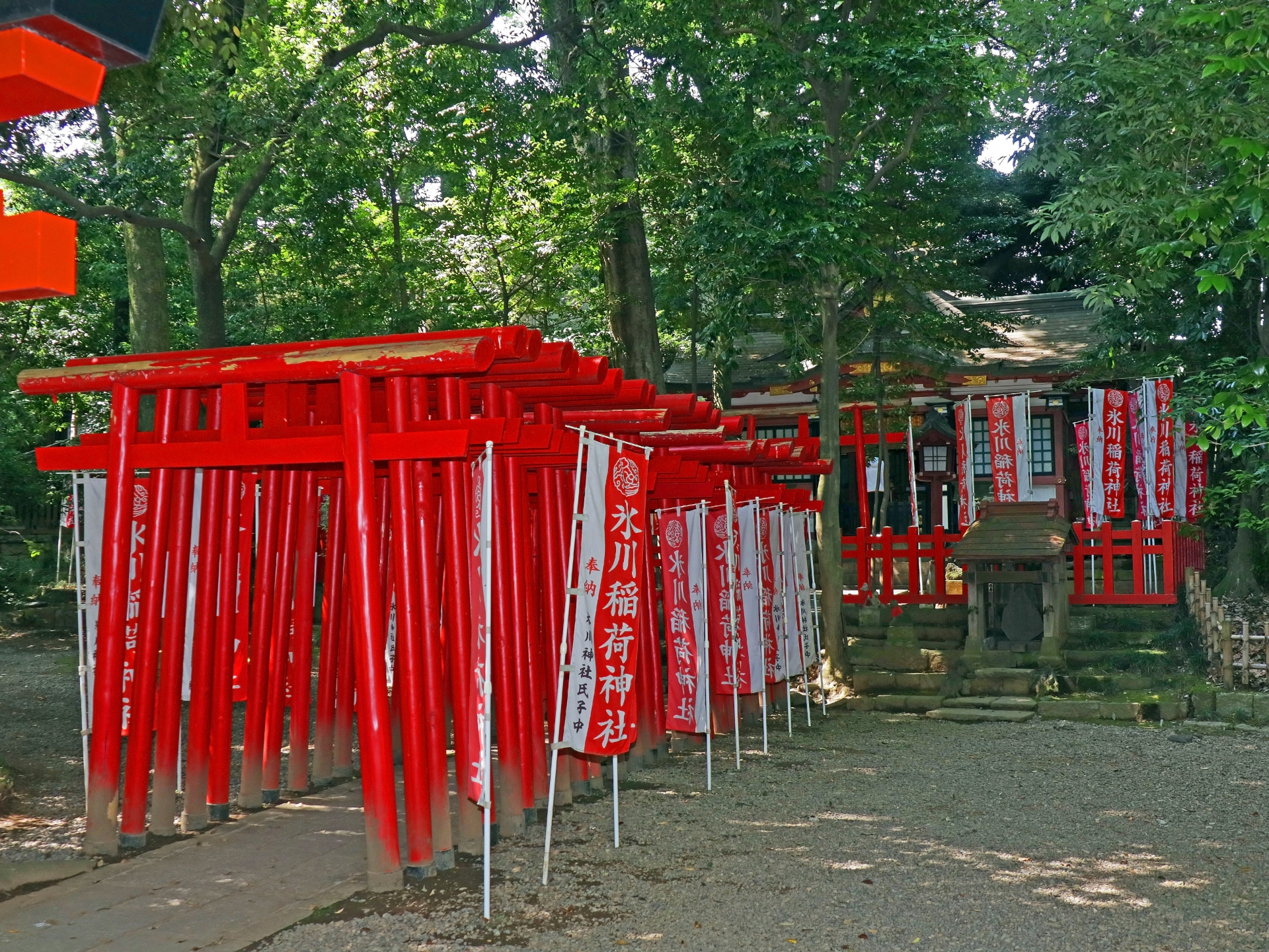 Red Torii of Musashi Ichinomiya Hikawa Jinja