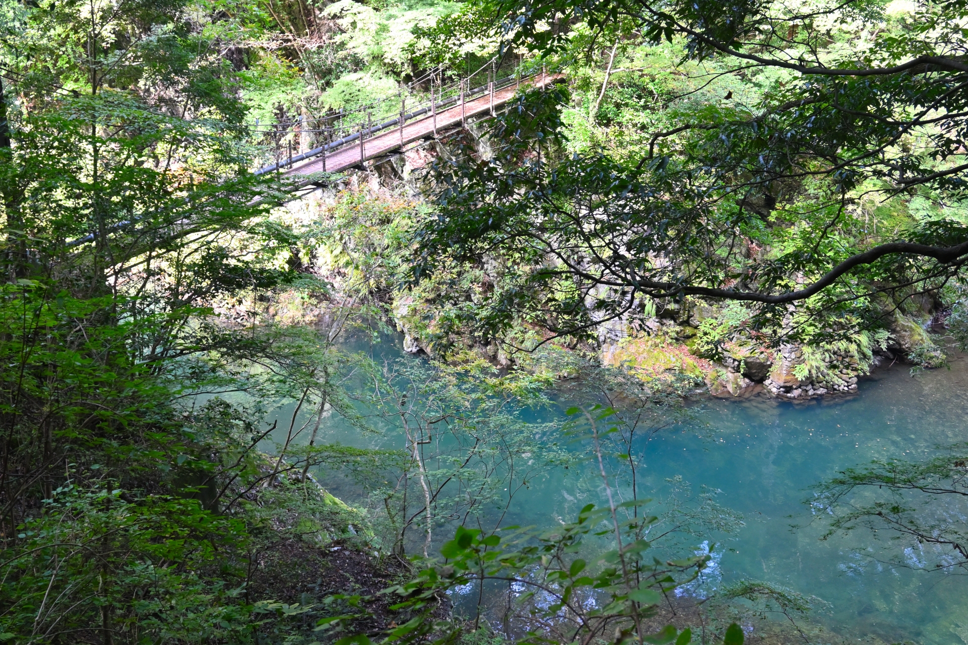 Hikawa gorge in green