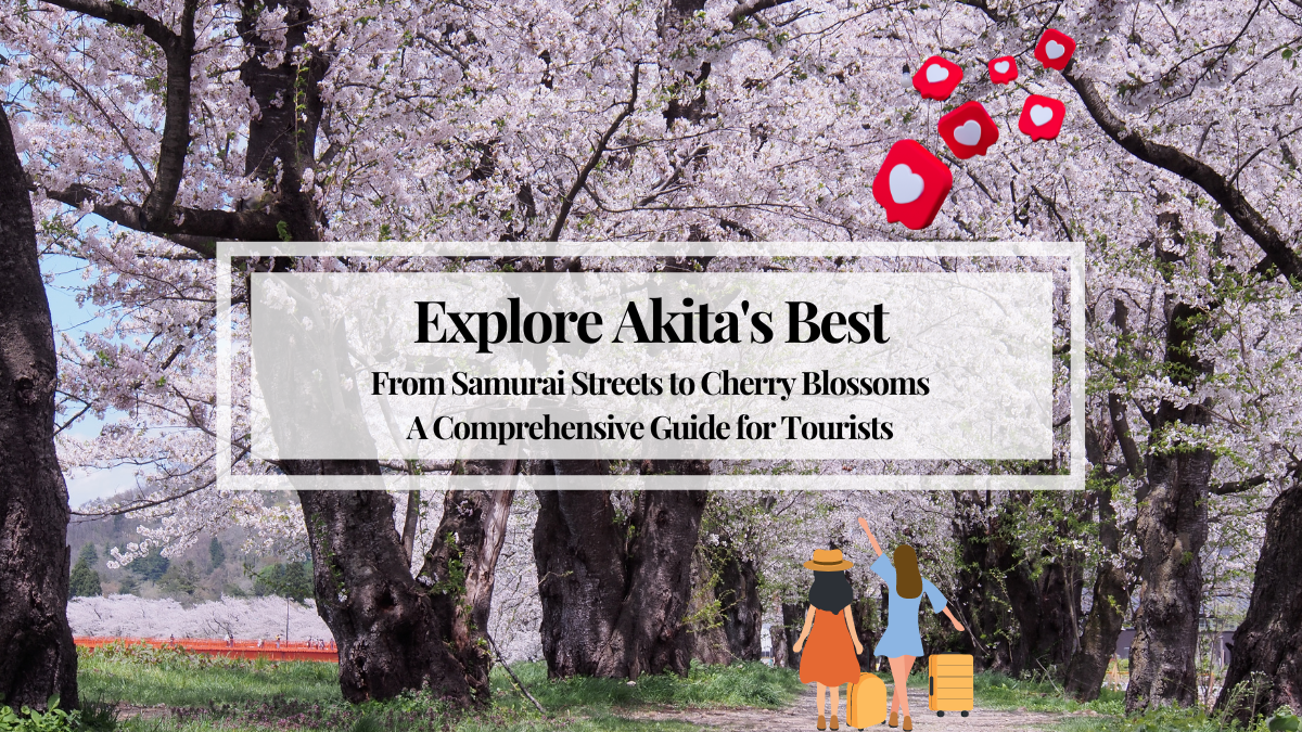 Explore Akita's Best: From Samurai Streets to Cherry Blossoms – A Comprehensive Guide for Tourists
