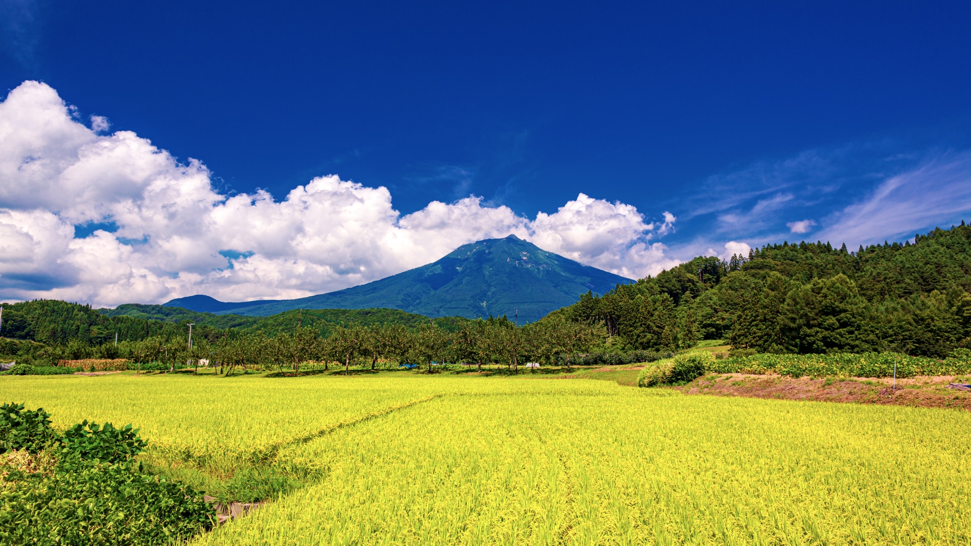 Mount Iwaki