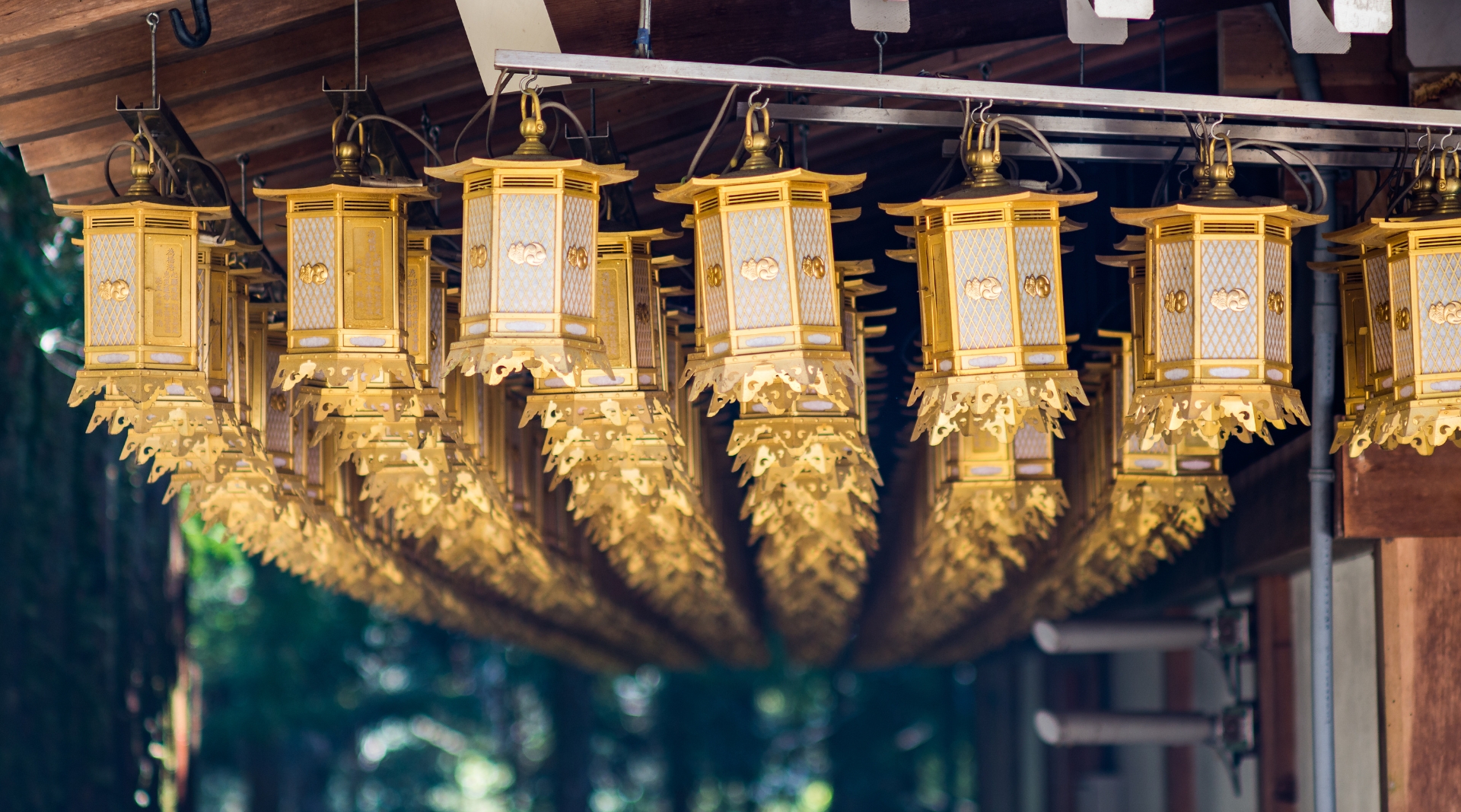 Koyasan Golden Lanterns