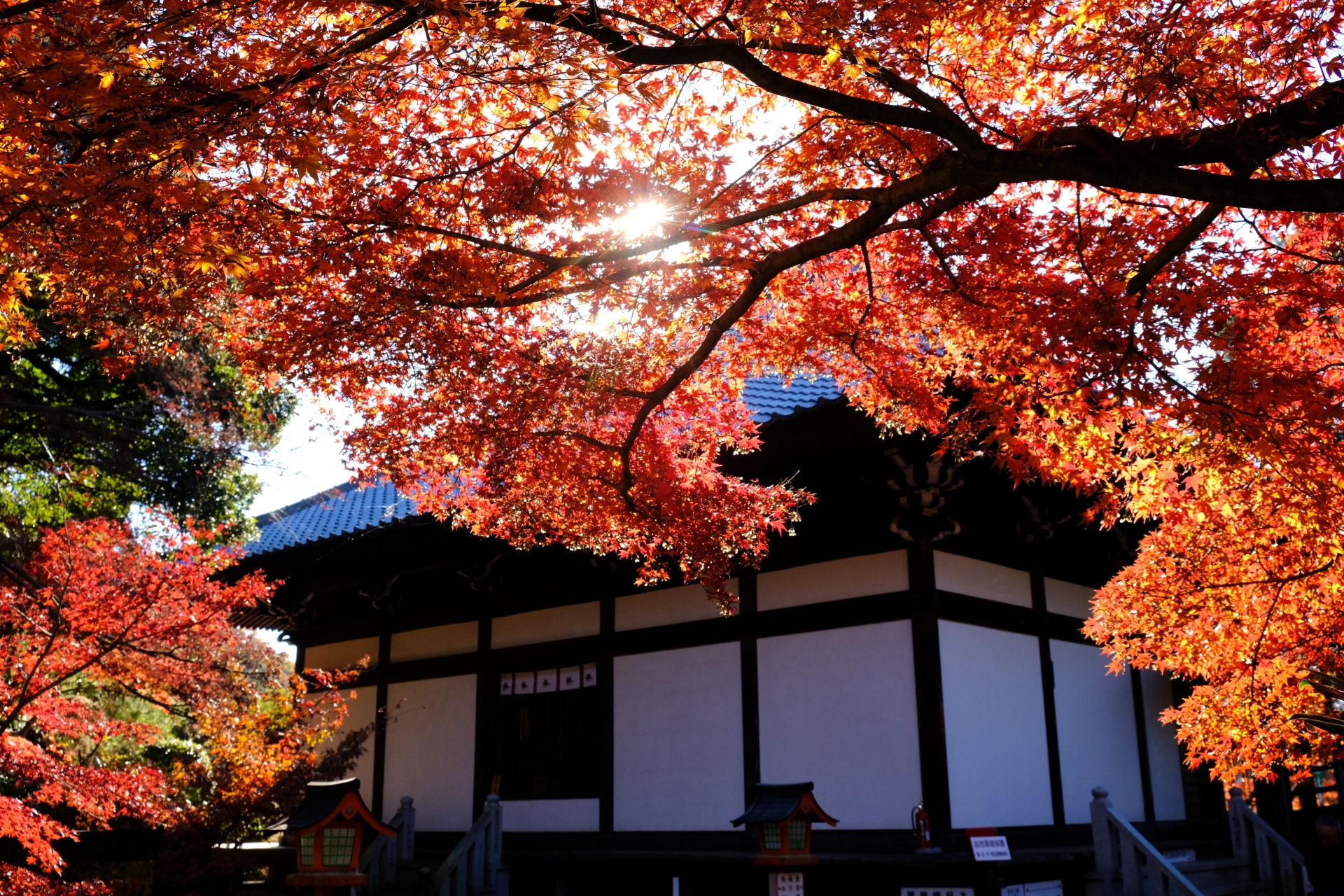 Jakko-in Temple “Maple Temple”