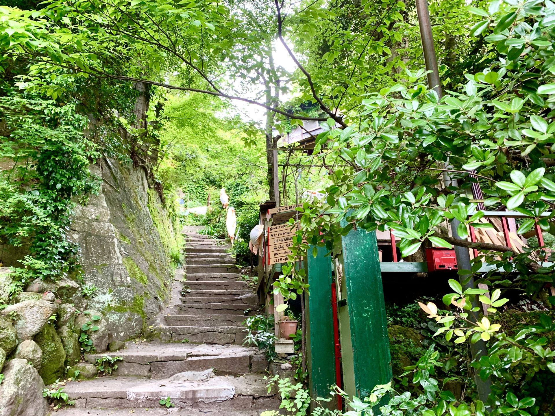 Onomichi Cat Alley