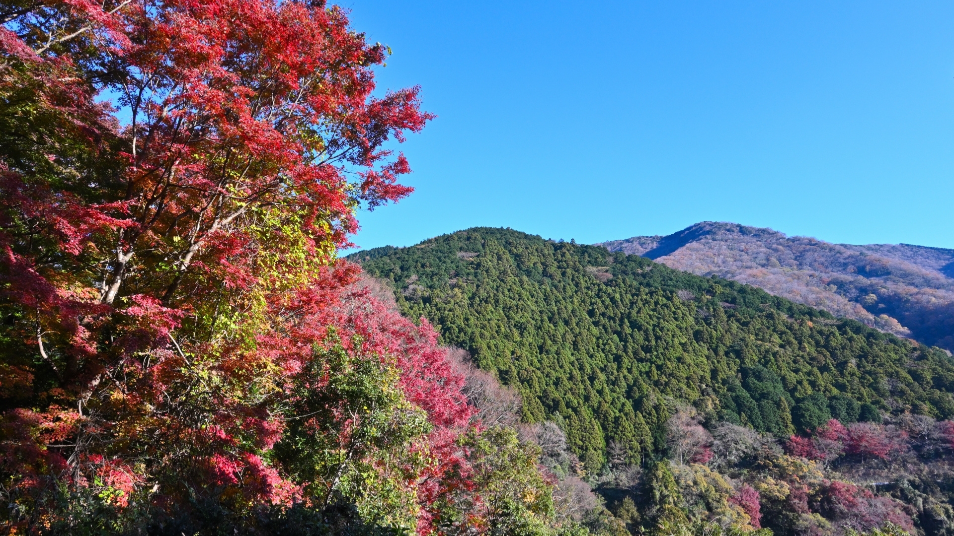 Autumn view of inner Yugawara