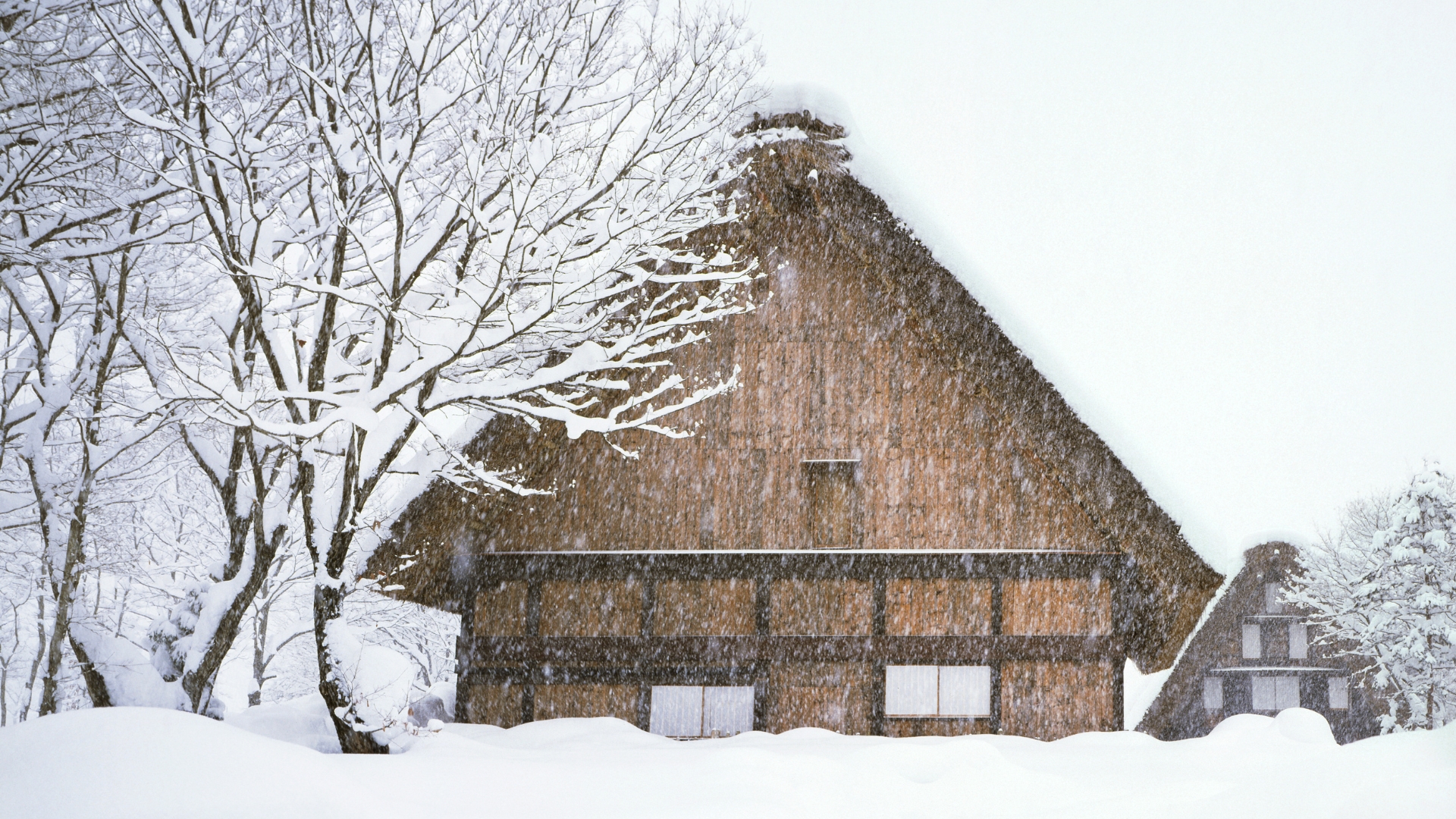 Shirakawago in snow