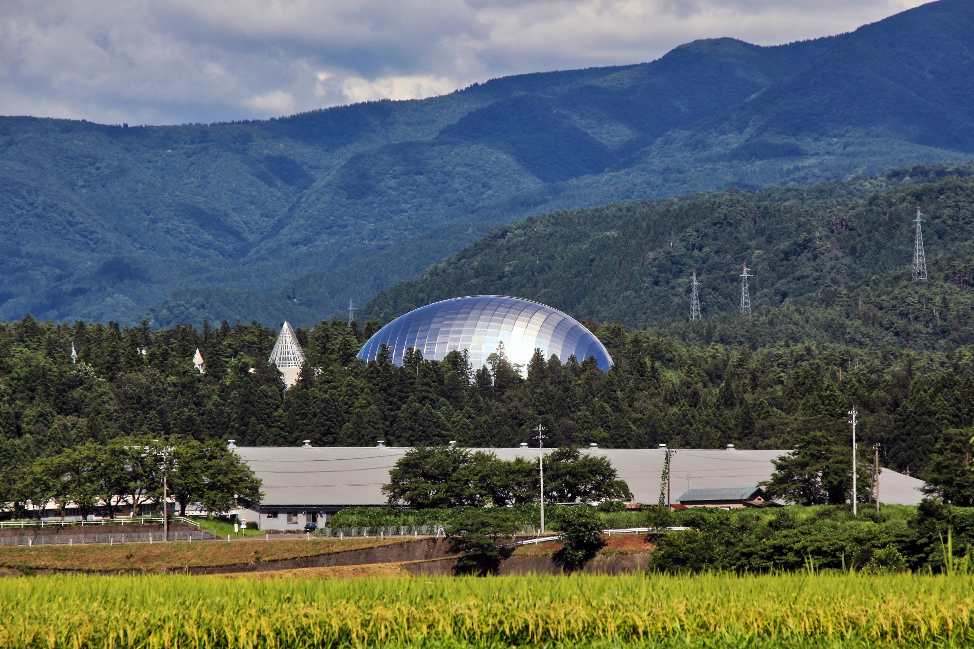 Fukui Prefectural Dinosaur Museum