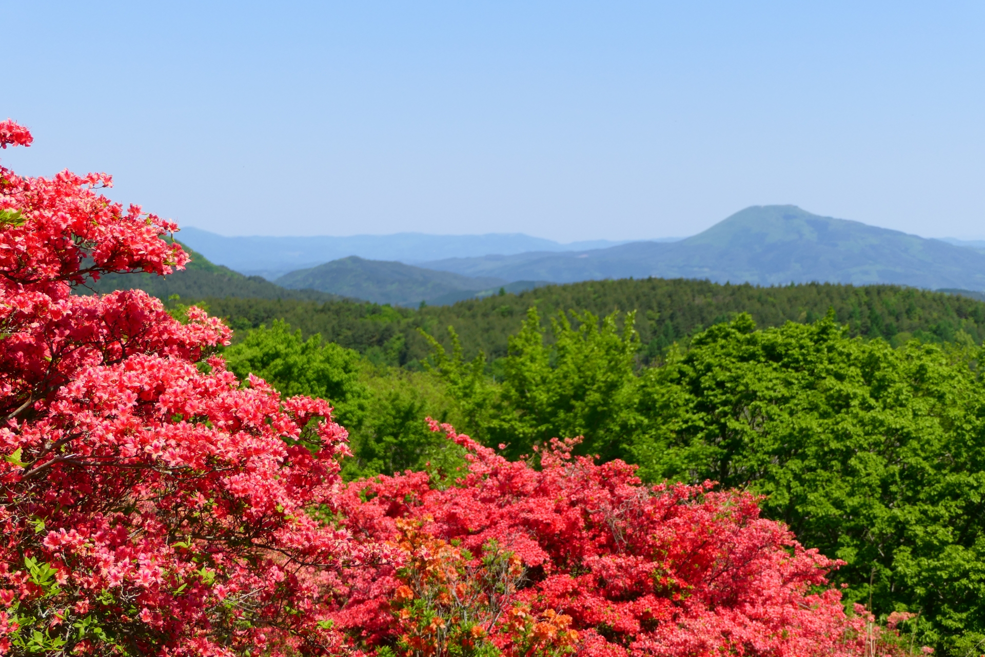 Mt. Tokusenjo