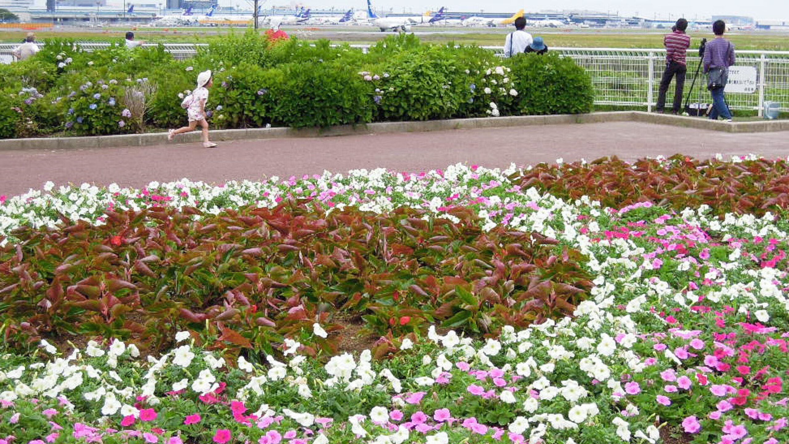 Sakura-no-Yama Park