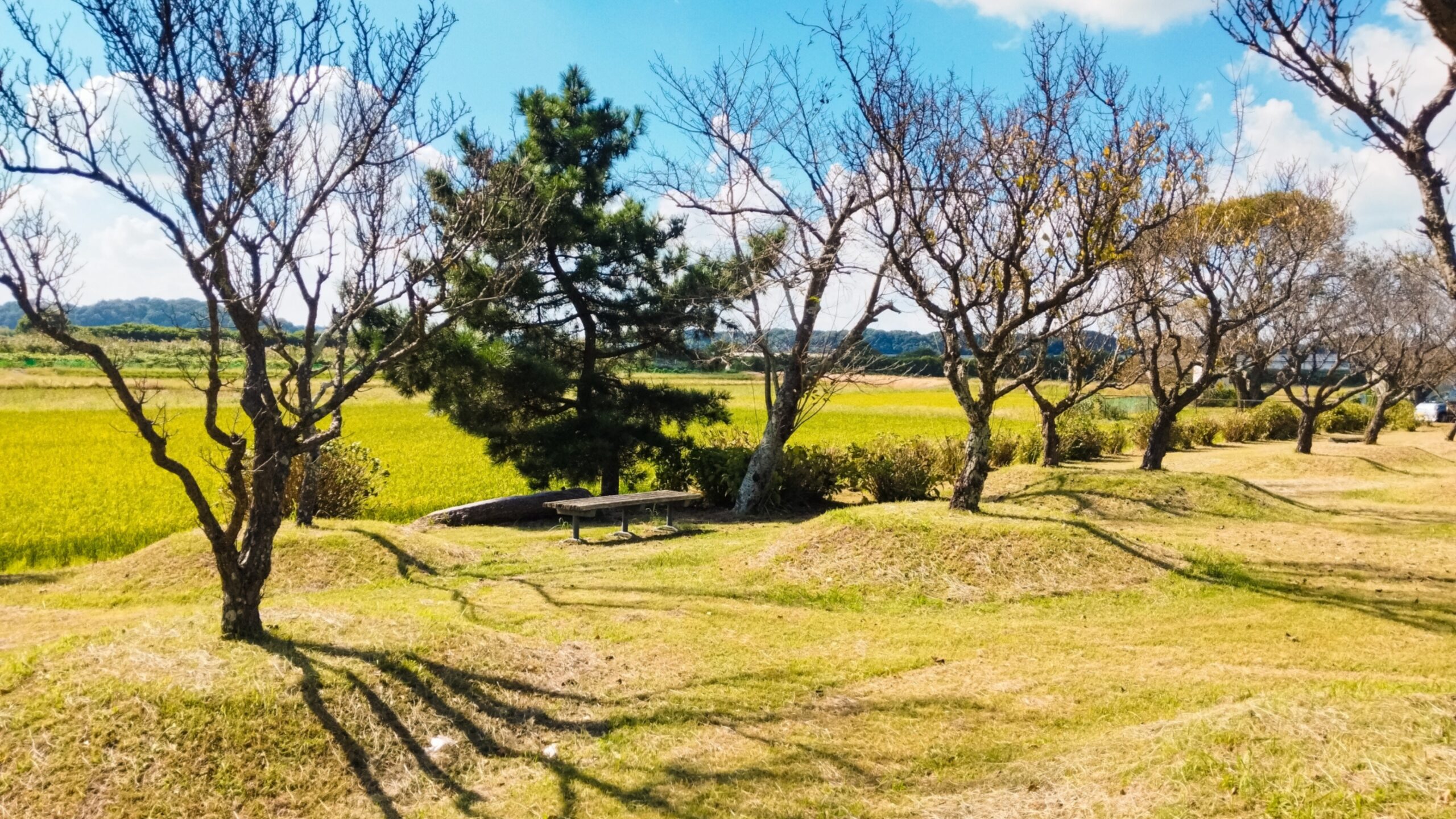 Jimbei Park