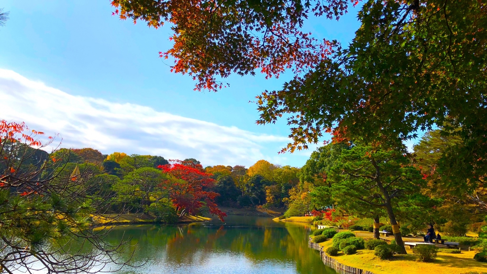 Rikugien Garden autumn