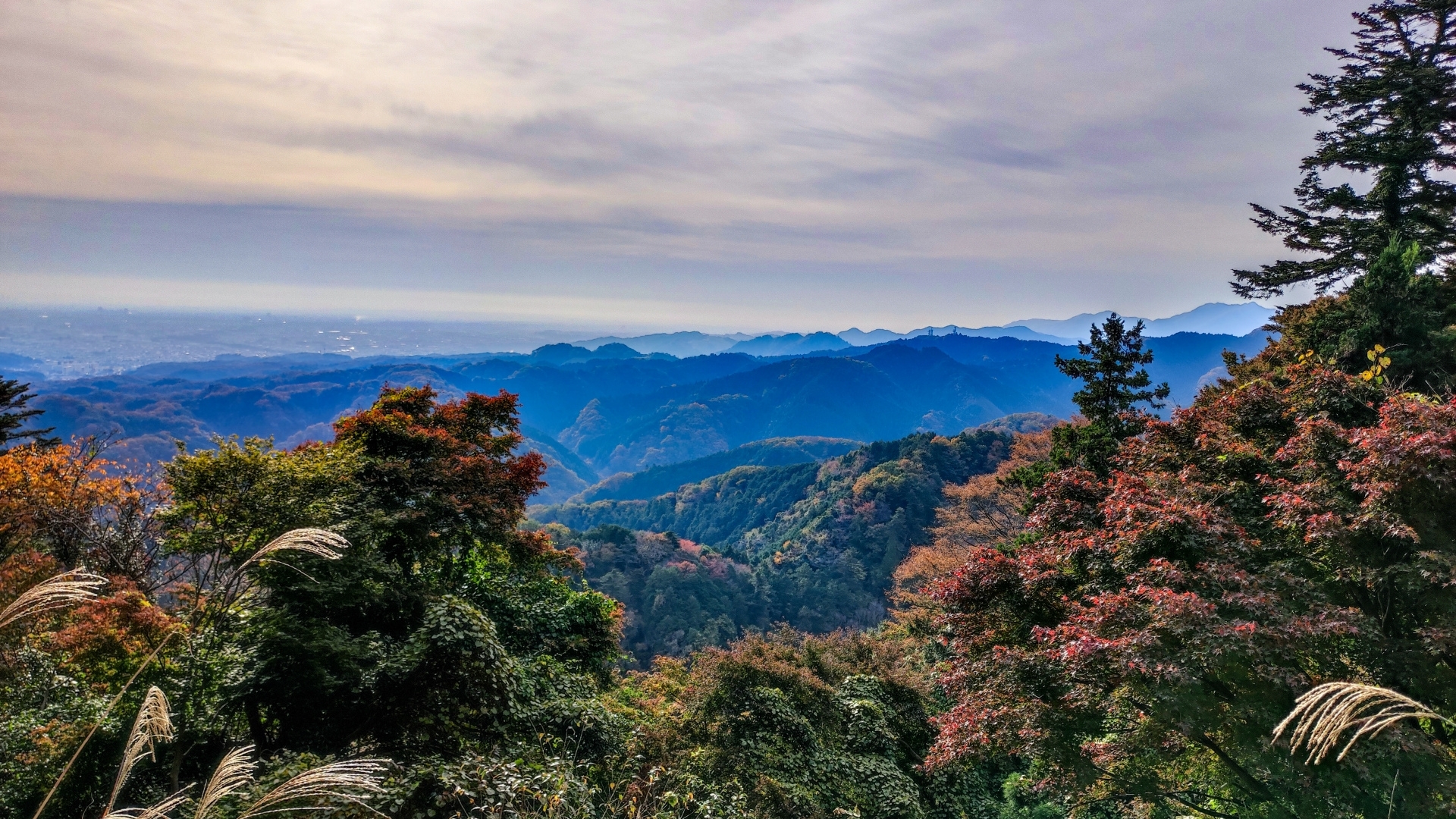 View from the slopes of Mount Takao