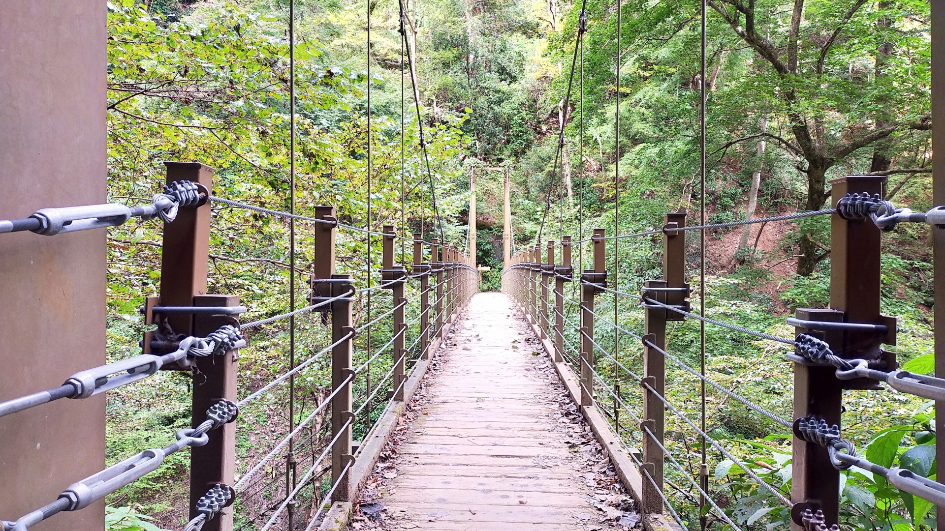 Trail 4 – Gentle forest route with a small suspension bridge