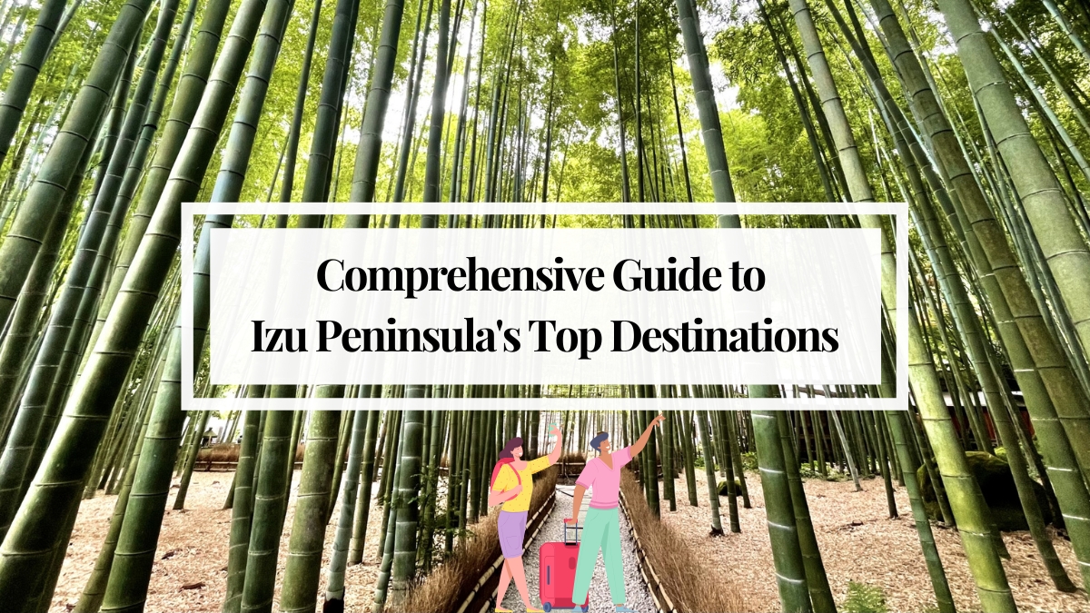Comprehensive Guide to Izu Peninsula's Top Destinations