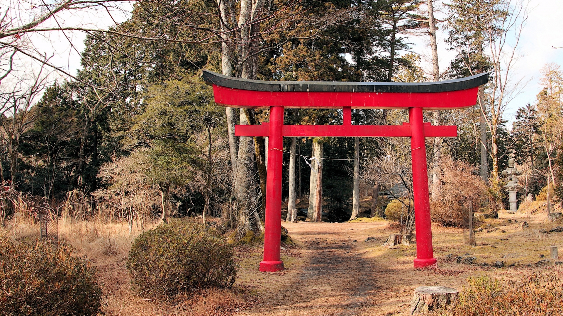 Otainai Seikoen Park