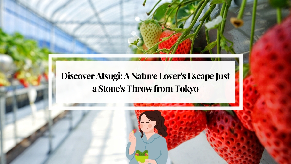 Discover Atsugi: A Nature Lover's Escape Just a Stone's Throw from Tokyo