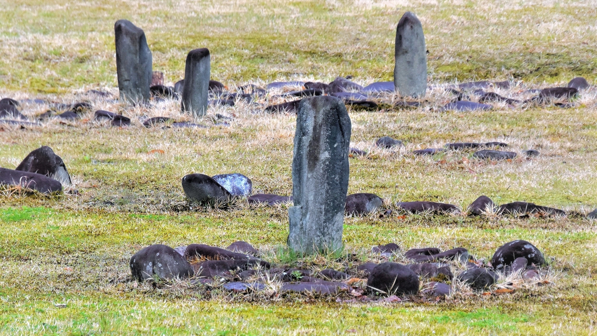 Oyu Stone Circles